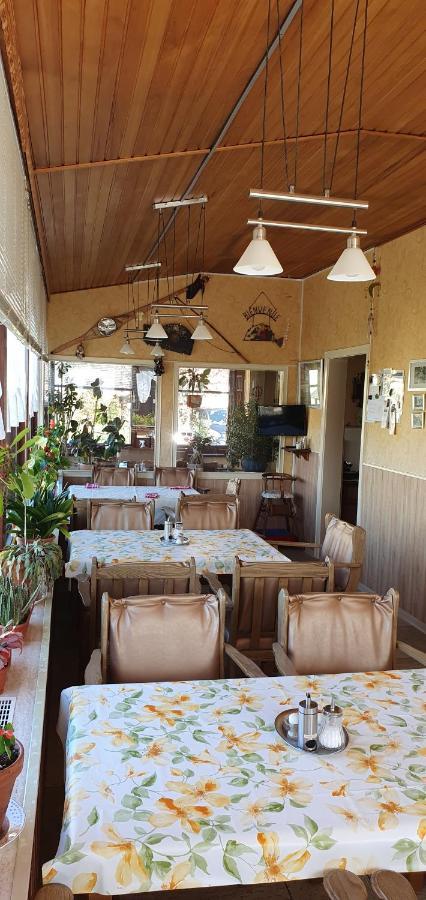 Haus Am Kurpark Otel Sankt Andreasberg Dış mekan fotoğraf